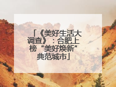 《美好生活大调查》：合肥上榜“美好焕新”典范城市