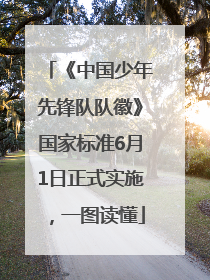 《中国少年先锋队队徽》国家标准6月1日正式实施，一图读懂