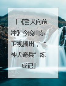 《警犬向前冲》今晚山东卫视播出，“神犬奇兵”炼成记