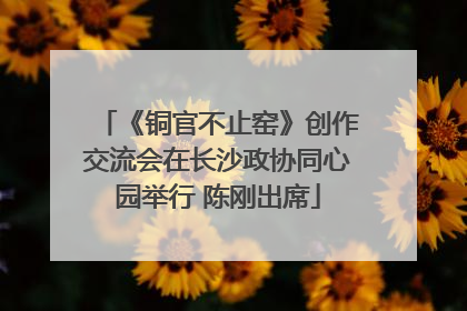 《铜官不止窑》创作交流会在长沙政协同心园举行 陈刚出席
