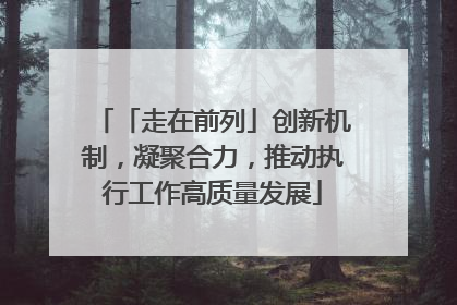 「走在前列」创新机制，凝聚合力，推动执行工作高质量发展