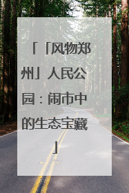 「风物郑州」人民公园：闹市中的生态宝藏