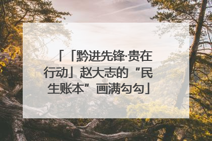 「黔进先锋·贵在行动」赵大志的“民生账本”画满勾勾