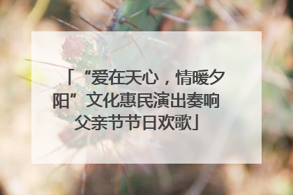 “爱在天心，情暖夕阳”文化惠民演出奏响父亲节节日欢歌