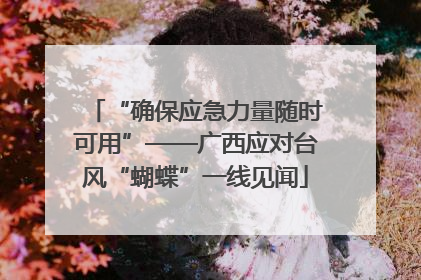 “确保应急力量随时可用”——广西应对台风“蝴蝶”一线见闻