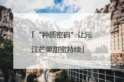 “种质密码”让元江芒果甜蜜持续