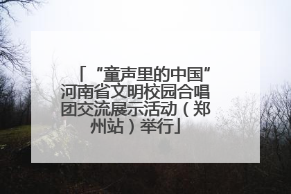 “童声里的中国”河南省文明校园合唱团交流展示活动（郑州站）举行