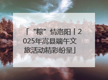“粽”情洛阳丨2025年嵩县端午文旅活动精彩纷呈