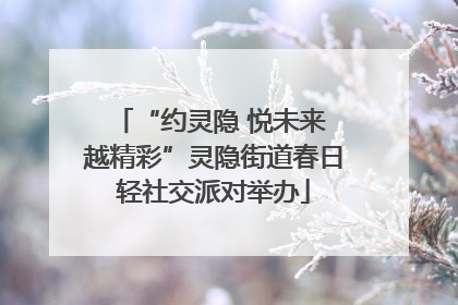 “约灵隐 悦未来 越精彩”灵隐街道春日轻社交派对举办