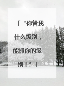 “你管我什么级别，能抓你的级别！”