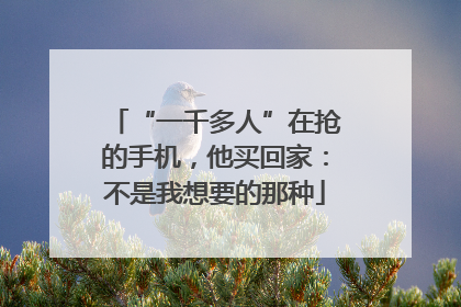“一千多人”在抢的手机，他买回家：不是我想要的那种