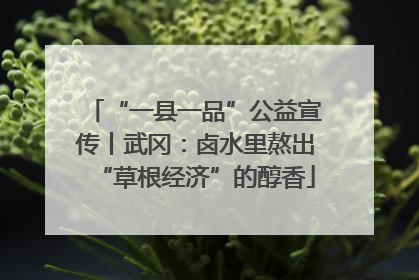 “一县一品”公益宣传丨武冈：卤水里熬出“草根经济”的醇香