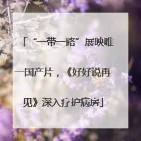“一带一路”展映唯一国产片，《好好说再见》深入疗护病房