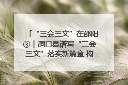 “三会三文”在邵阳③｜洞口县谱写“三会三文”落实新篇章 构建协同联动大格局