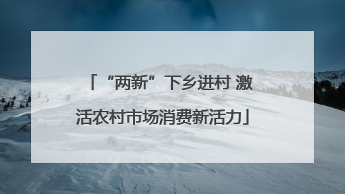 “两新”下乡进村 激活农村市场消费新活力