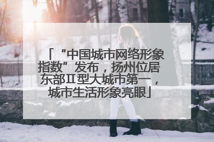 “中国城市网络形象指数”发布，扬州位居东部Ⅱ型大城市第一，城市生活形象亮眼
