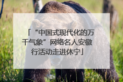 “中国式现代化的万千气象”网络名人安徽行活动走进休宁