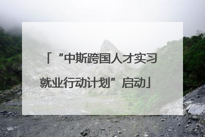 “中斯跨国人才实习就业行动计划”启动