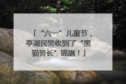 “六一”儿童节，亭湖民警收到了“黑猫警长”锦旗！