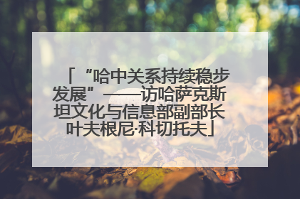 “哈中关系持续稳步发展”——访哈萨克斯坦文化与信息部副部长叶夫根尼·科切托夫