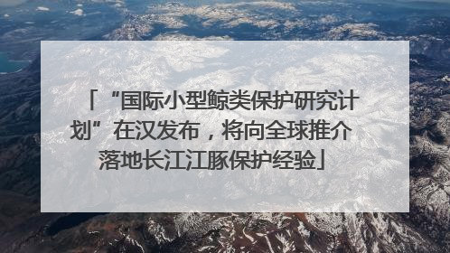 “国际小型鲸类保护研究计划”在汉发布，将向全球推介落地长江江豚保护经验