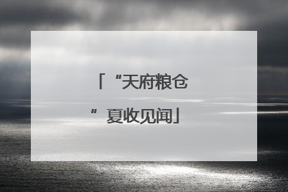 “天府粮仓”夏收见闻