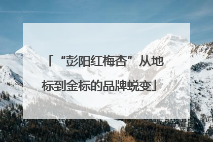 “彭阳红梅杏”从地标到金标的品牌蜕变