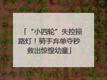 “小四轮”失控撞路灯！骑手弃单夺秒救出惊惶幼童