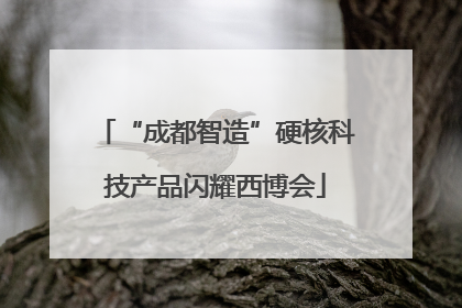 “成都智造”硬核科技产品闪耀西博会