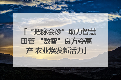 “把脉会诊”助力智慧田管 “数智”良方夺高产 农业焕发新活力