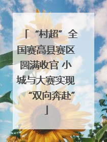 “村超”全国赛高县赛区圆满收官 小城与大赛实现“双向奔赴”