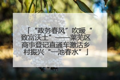 “政务春风”吹暖“致富沃土”——莱芜区商事登记直通车激活乡村振兴“一池春水”