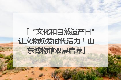 “文化和自然遗产日”让文物焕发时代活力！山东博物馆双展启幕