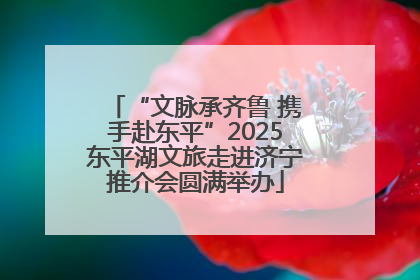 “文脉承齐鲁 携手赴东平”2025东平湖文旅走进济宁推介会圆满举办