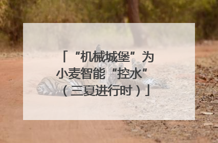 “机械城堡”为小麦智能“控水”（三夏进行时）
