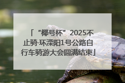 “椰号杯”2025不止骑·环溧阳1号公路自行车骑游大会圆满结束