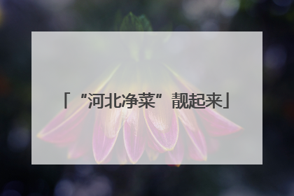 “河北净菜”靓起来