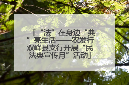 “法”在身边“典”亮生活——农发行双峰县支行开展“民法典宣传月”活动