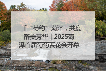 “芍约”菏泽，共度醉美芳华｜2025菏泽首届芍药赛花会开幕，103家企业参赛