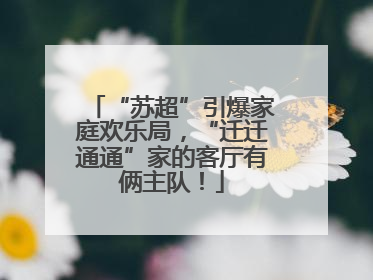 “苏超”引爆家庭欢乐局，“迁迁通通”家的客厅有俩主队！