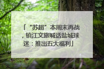 “苏超”本周末再战，镇江文旅喊话盐城球迷：推出五大福利