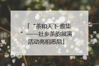 “茶和天下·雅集”——壮乡茶韵展演活动亮相悉尼