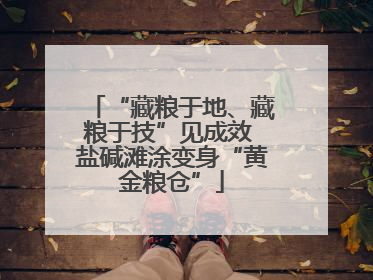 “藏粮于地、藏粮于技”见成效 盐碱滩涂变身“黄金粮仓”