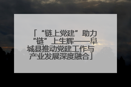 “链上党建”助力“链”上生辉——阜城县推动党建工作与产业发展深度融合