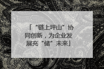 “链上坪山”协同创新，为企业发展充“储”未来