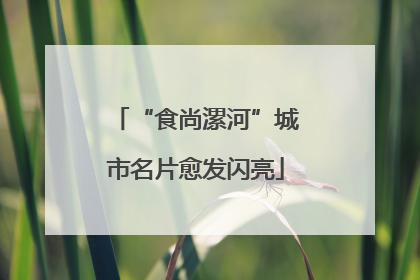 “食尚漯河”城市名片愈发闪亮