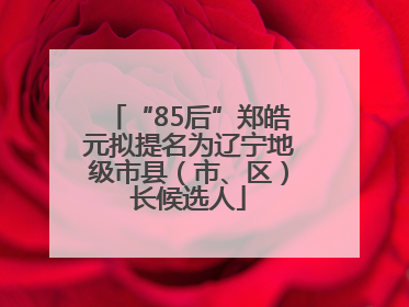 “85后”郑皓元拟提名为辽宁地级市县（市、区）长候选人