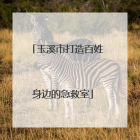玉溪市打造百姓身边的急救室