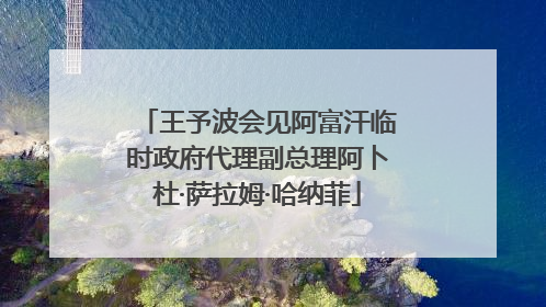 王予波会见阿富汗临时政府代理副总理阿卜杜·萨拉姆·哈纳菲