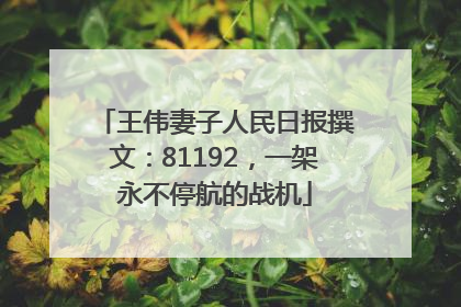 王伟妻子人民日报撰文：81192，一架永不停航的战机